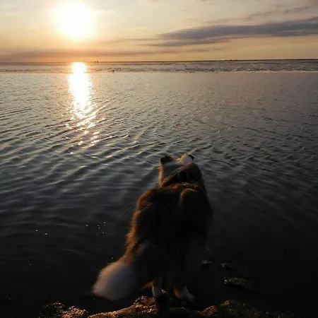 Luette-nordseeperle Апартаменты